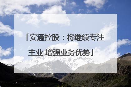 安通控股：将继续专注主业 增强业务优势