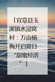 宜章县玉溪镇水浸窝村：万亩杨梅开启夏日“甜蜜经济”