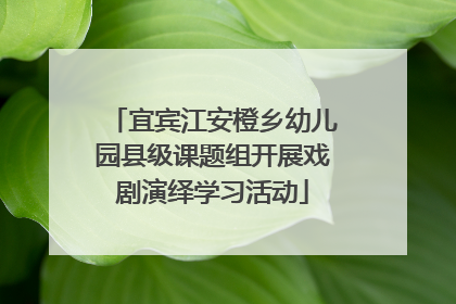 宜宾江安橙乡幼儿园县级课题组开展戏剧演绎学习活动