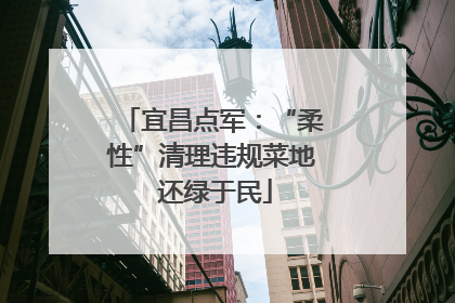 宜昌点军：“柔性”清理违规菜地 还绿于民