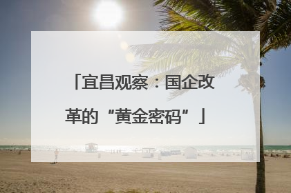 宜昌观察：国企改革的“黄金密码”