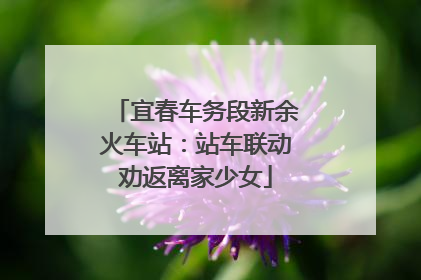 宜春车务段新余火车站：站车联动劝返离家少女