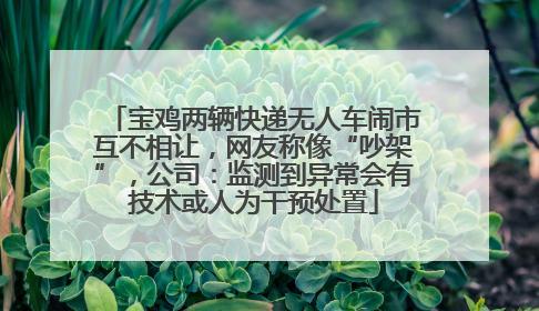 宝鸡两辆快递无人车闹市互不相让，网友称像“吵架”，公司：监测到异常会有技术或人为干预处置