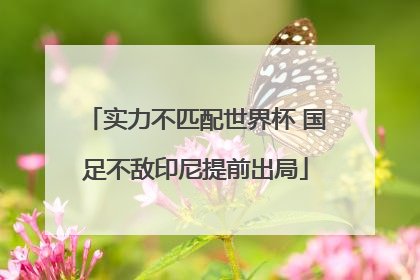 实力不匹配世界杯 国足不敌印尼提前出局