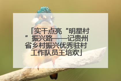 实干点亮“明星村”振兴路——记贵州省乡村振兴优秀驻村工作队员王培欢