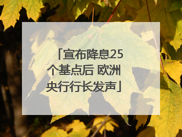 宣布降息25个基点后 欧洲央行行长发声