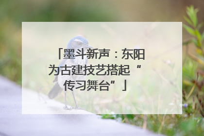 墨斗新声：东阳为古建技艺搭起“传习舞台”