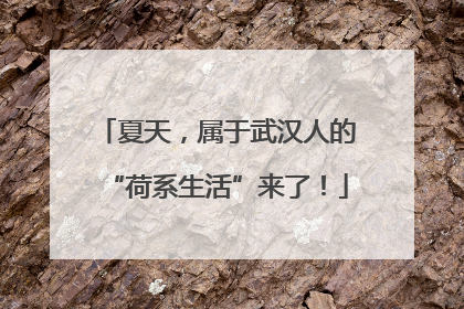 夏天，属于武汉人的“荷系生活”来了！