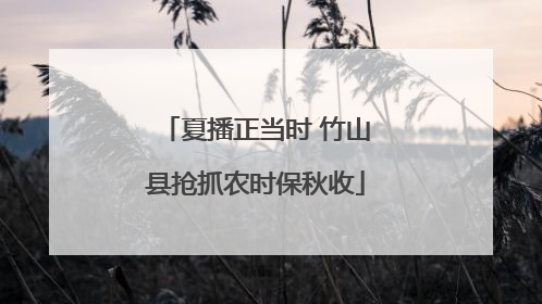夏播正当时 竹山县抢抓农时保秋收
