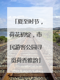 夏至时节，荷花初绽，市民游客公园寻觅荷香雅韵