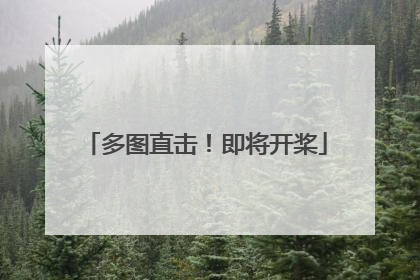 多图直击！即将开桨