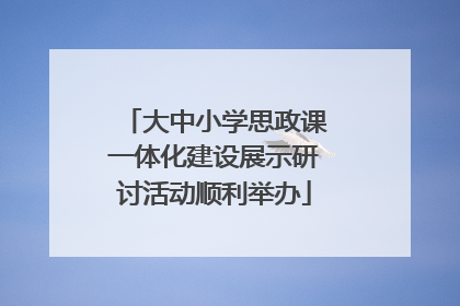 大中小学思政课一体化建设展示研讨活动顺利举办
