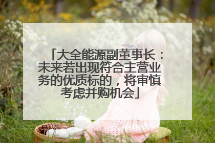 大全能源副董事长：未来若出现符合主营业务的优质标的，将审慎考虑并购机会