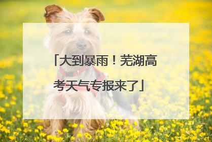 大到暴雨！芜湖高考天气专报来了