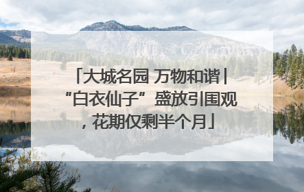 大城名园 万物和谐│“白衣仙子”盛放引围观，花期仅剩半个月