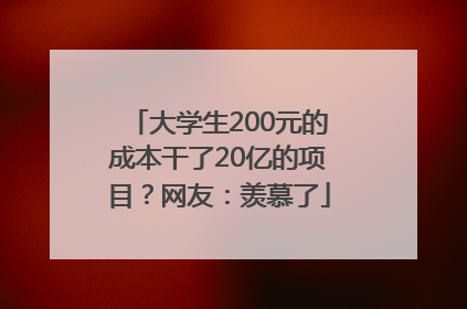 大学生200元的成本干了20亿的项目？网友：羡慕了
