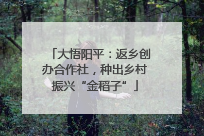 大悟阳平：返乡创办合作社，种出乡村振兴“金稻子”