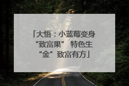 大悟：小蓝莓变身“致富果” 特色生“金”致富有方