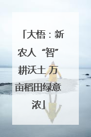大悟：新农人“智”耕沃土 万亩稻田绿意浓