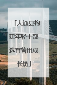 大通县构建年轻干部选育管用成长链