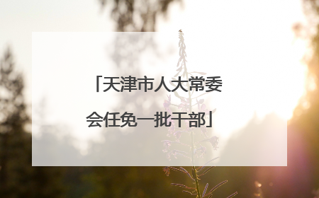 天津市人大常委会任免一批干部
