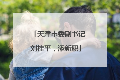 天津市委副书记刘桂平，添新职