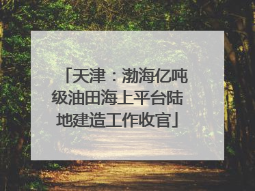 天津：渤海亿吨级油田海上平台陆地建造工作收官