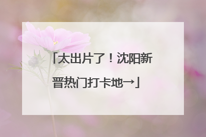 太出片了！沈阳新晋热门打卡地→