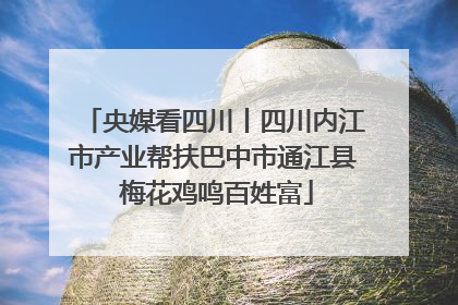 央媒看四川丨四川内江市产业帮扶巴中市通江县 梅花鸡鸣百姓富