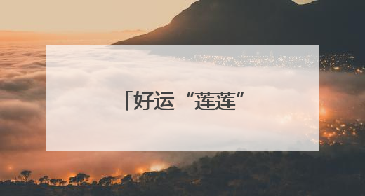 好运“莲莲”！洪湖公园并蒂莲迎风绽放