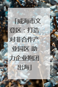 威海市文登区：打造对非合作产业园区 助力企业抱团出海