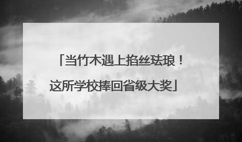 当竹木遇上掐丝珐琅！这所学校捧回省级大奖