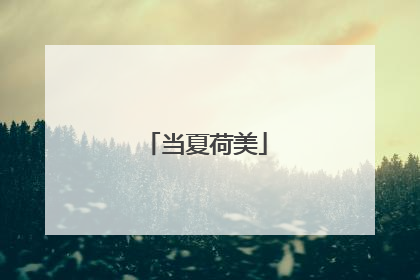 当夏荷美