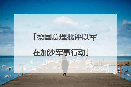 德国总理批评以军在加沙军事行动