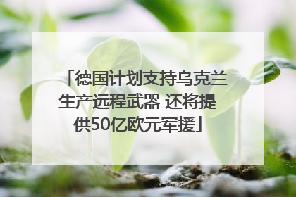 德国计划支持乌克兰生产远程武器 还将提供50亿欧元军援
