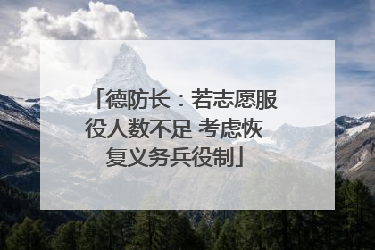 德防长：若志愿服役人数不足 考虑恢复义务兵役制
