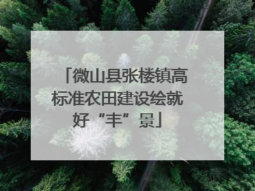微山县张楼镇高标准农田建设绘就好“丰”景