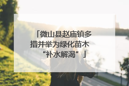 微山县赵庙镇多措并举为绿化苗木“补水解渴”