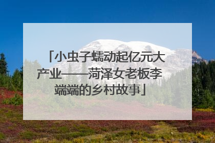 小虫子蠕动起亿元大产业——菏泽女老板李端端的乡村故事