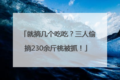 就摘几个吃吃？三人偷摘230余斤桃被抓！
