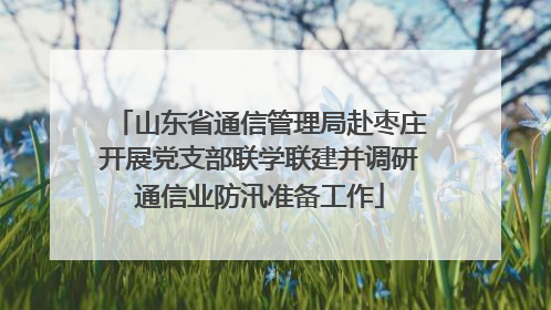 山东省通信管理局赴枣庄开展党支部联学联建并调研通信业防汛准备工作