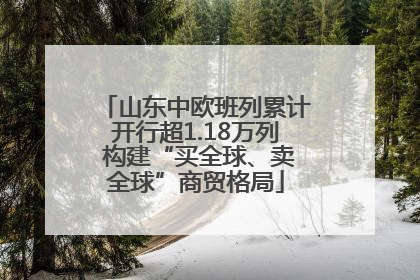 山东中欧班列累计开行超1.18万列 构建“买全球、卖全球”商贸格局