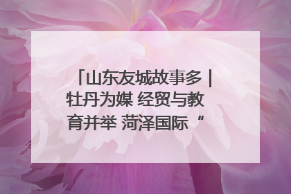 山东友城故事多｜牡丹为媒 经贸与教育并举 菏泽国际“朋友圈”扩容升级