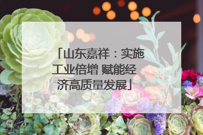 山东嘉祥：实施工业倍增 赋能经济高质量发展