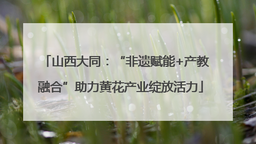 山西大同：“非遗赋能+产教融合”助力黄花产业绽放活力