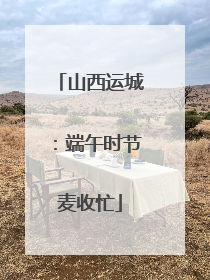 山西运城：端午时节麦收忙