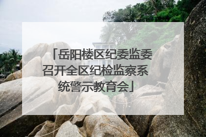 岳阳楼区纪委监委召开全区纪检监察系统警示教育会