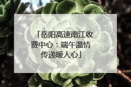 岳阳高速南江收费中心：端午温情传递暖人心
