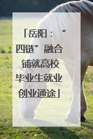 岳阳：“四链”融合 铺就高校毕业生就业创业通途