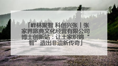 峰林聚智 科创兴张丨张家界旅典文化经营有限公司博士创新站：让土家织锦“智”造出非遗新传奇
